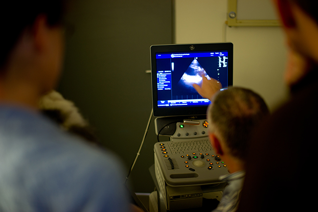 Foto: Zeig auf Monitor mit Ultraschallbild